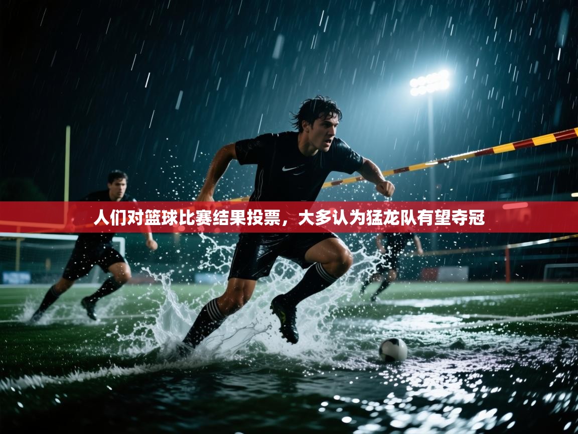 人们对篮球比赛结果投票，大多认为猛龙队有望夺冠  第2张