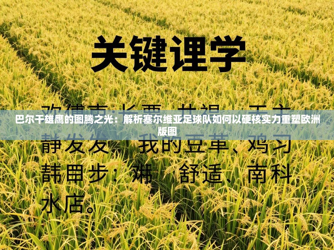 巴尔干雄鹰的图腾之光：解析塞尔维亚足球队如何以硬核实力重塑欧洲版图  第2张