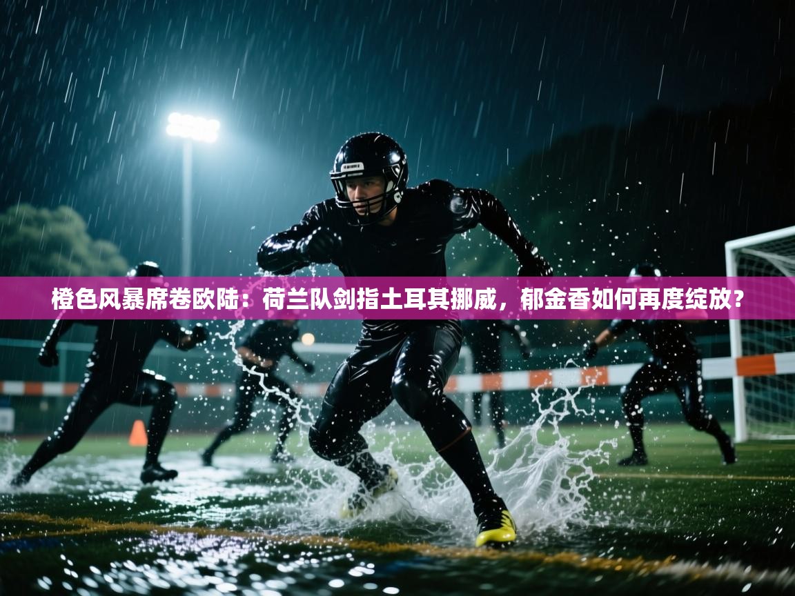 橙色风暴席卷欧陆：荷兰队剑指土耳其挪威，郁金香如何再度绽放？  第2张