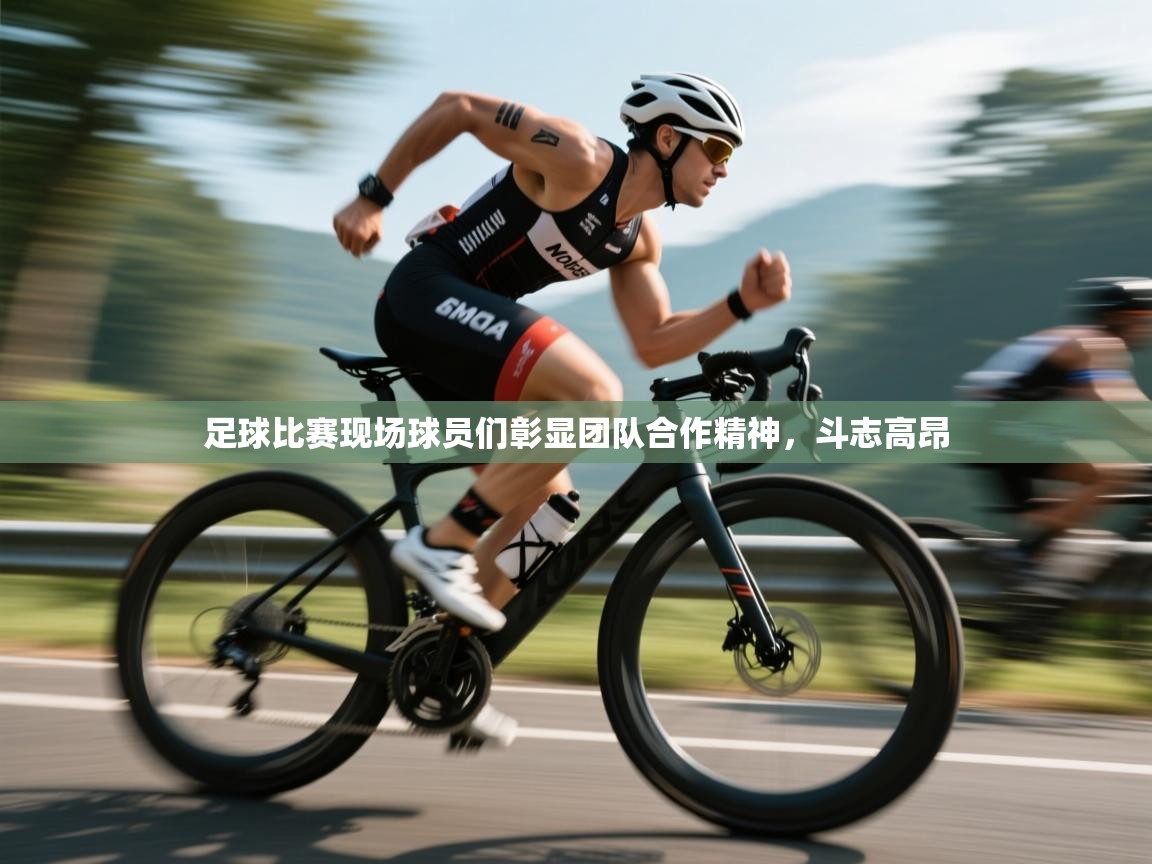 足球比赛现场球员们彰显团队合作精神，斗志高昂  第2张